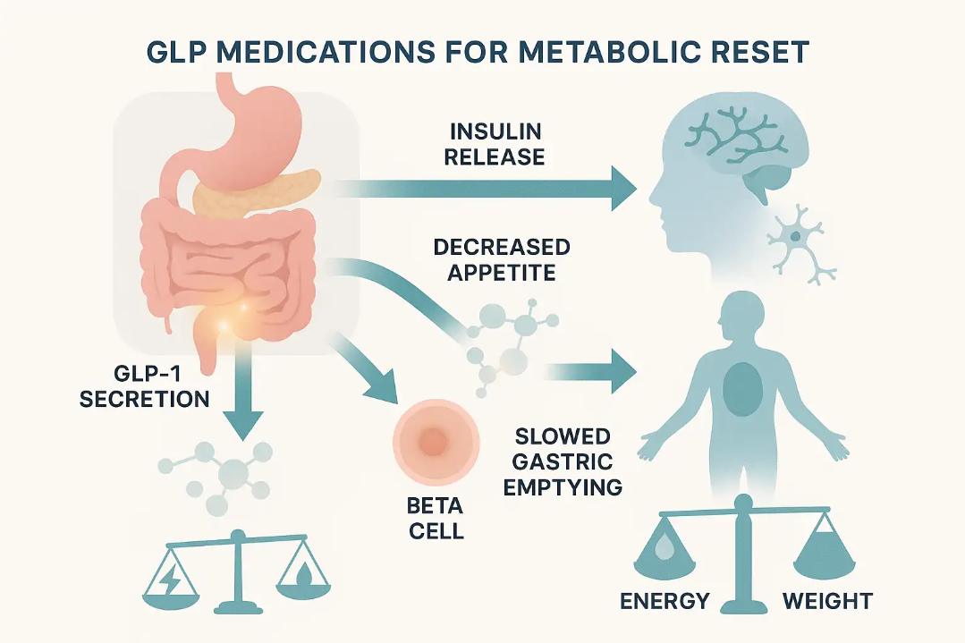 GLP-1 medications for metabolic reset illustrating insulin release, decreased appetite, and slowed gastric emptying, supporting metabolic balance and weight management for adults over 40.