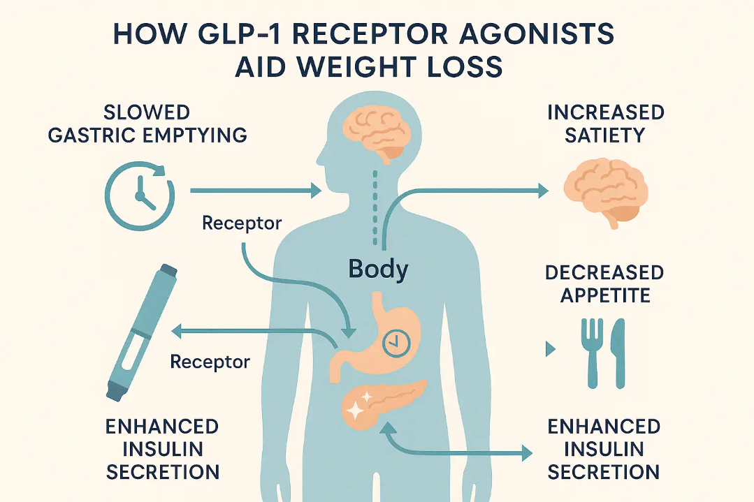 Infographic illustrating how GLP-1 receptor agonists aid weight loss, showing connections between slowed gastric emptying, increased satiety, decreased appetite, and enhanced insulin secretion within the body.