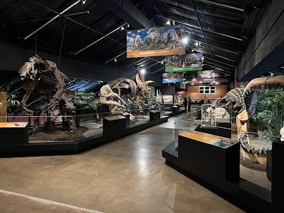 Dinosaur skeletons displayed in a museum exhibit with informational panels and a modern interior setting, showcasing educational aspects of natural history.