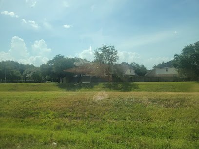 Residential area in Sugar Land, featuring houses with green lawns and trees under a partly cloudy sky, representing the local community near Thrive Medicine Clinic.