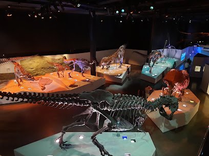 Exhibit of dinosaur skeletons in a museum, featuring various species displayed on illuminated pedestals, highlighting the educational focus on prehistoric life.