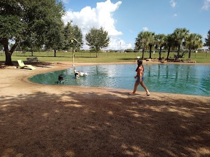 Person walking by a pond with two dogs swimming, surrounded by trees and green grass in a park setting, illustrating outdoor activities in Sugar Land.